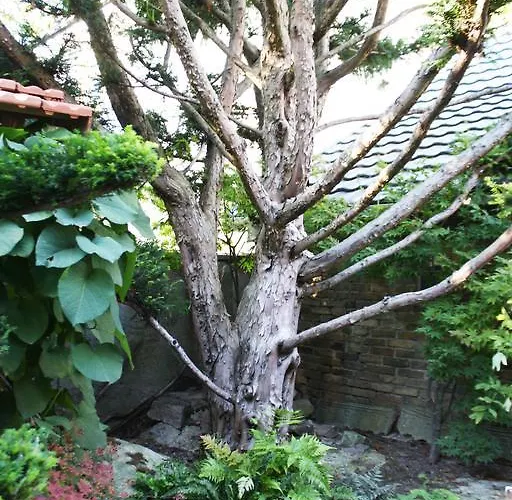 22 - Atelier-gaestehaus Villa Mainz